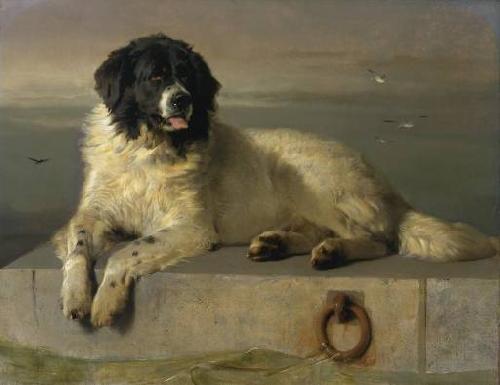 Landseer, Edwin Henry A Distinguished Member of the Humane Society China oil painting art